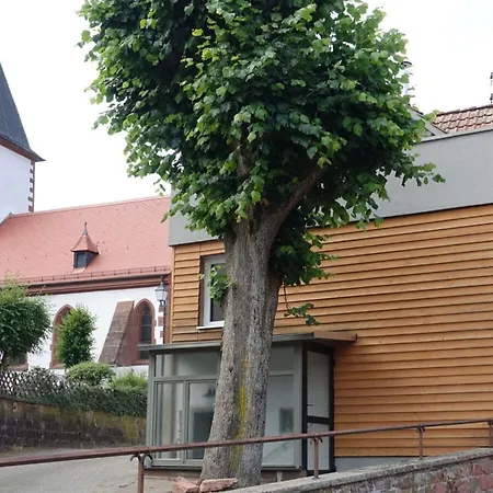 Uhu In The House On Linden Tree Dernbach (Sudliche Weinstrasse)